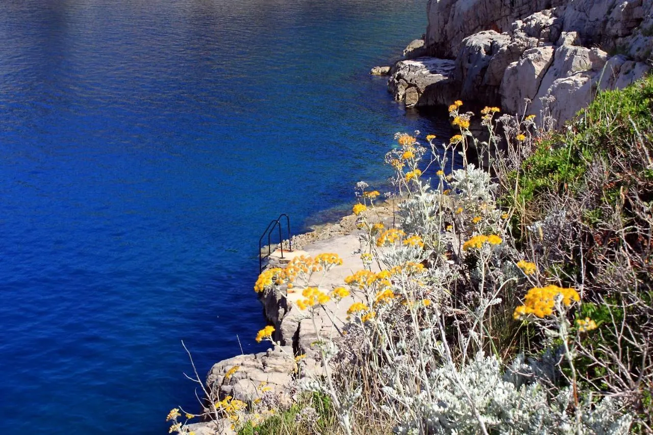 Apartments With A Parking Space Veli Losinj, Losinj - 8029